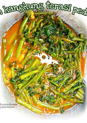 Foto resep Cah kangkung terasi pedas