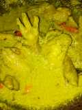 Opor ayam