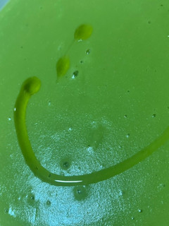 Una foto de Crema de guisantes