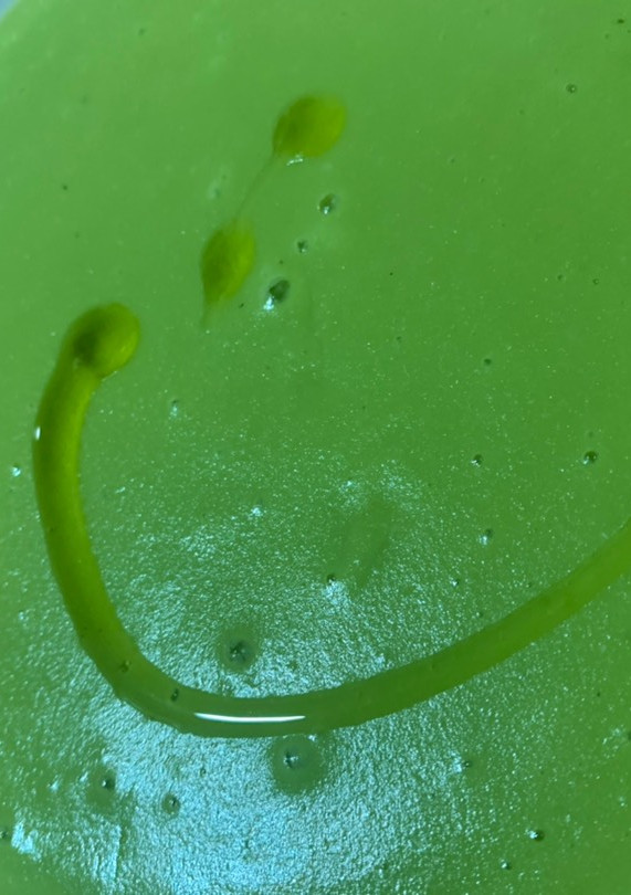 Una foto de Crema de guisantes