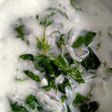 Daun katuk kuah santan