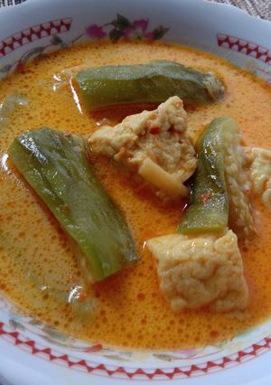 Foto resep Kare Terong Tahu