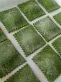 Ravioloni di spinaci e ricotta di bufala-(impasto senza uova)