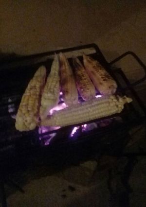A picture of Braaied corn.