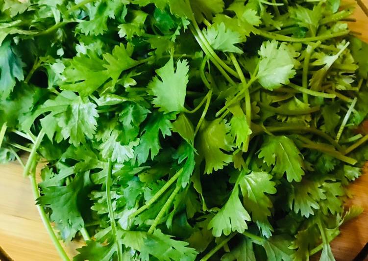 Recipe of Homemade Lockdown tips to store coriander leaves