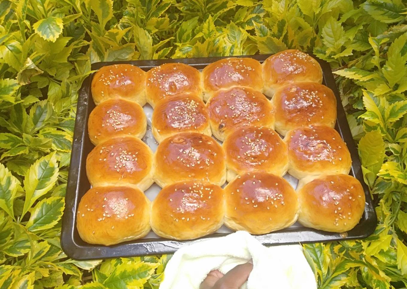 Dinner rolls