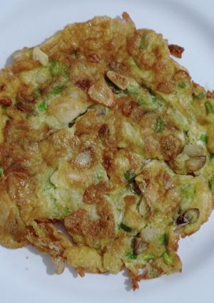 Foto resep Telur Dadar Sederhana