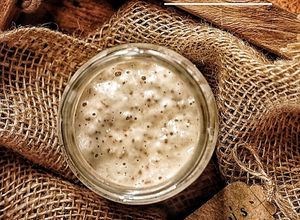 Foto resep SOURDOUGH STARTER🌾