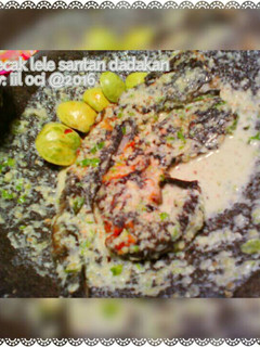 Foto resep Pecak Lele 🐟Santan Dadakan (pecak lele ngumpet 🙈😸)