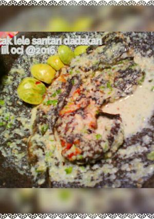 Foto resep Pecak Lele 🐟Santan Dadakan (pecak lele ngumpet 🙈😸)