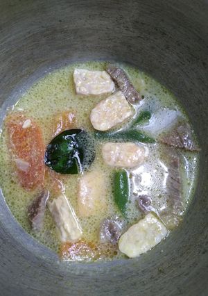 Foto resep Mpasi menu lengkap 6 bulan: sayur lodeh daging sapi, tempe