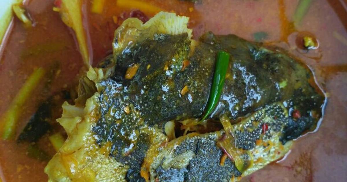 32 Resep Ikan Manyung Masak Kuning Enak Dan Mudah Cookpad