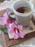 Infuso di ibisco siryacus