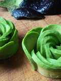 Suculentas de palta (aguacate)