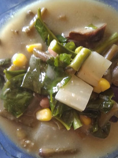 Foto resep Sayur Lodeh Kara