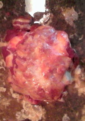 A picture of Cheesy Pasta Baked Chicken (breasts or thighs).