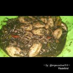 A picture of Cumi Lada Hitam.