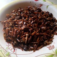 A picture of Fried grasshoppers.