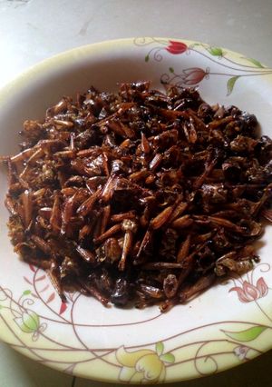 A picture of Fried grasshoppers.