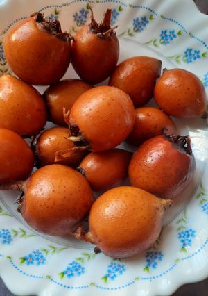 عکسی از دستور ازگیل شور