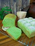 Roti Pandan