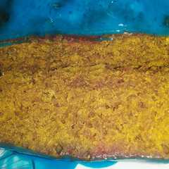 Una foto de Torta de remolacha y zanahoria en microondas saludable