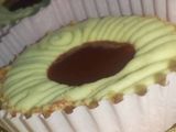 صابلي جذع الشجرة 🌲
