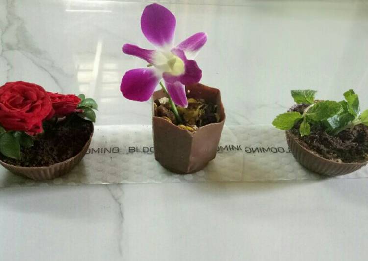 Simple Way to Make Speedy Edible chocolate flower pot dessert