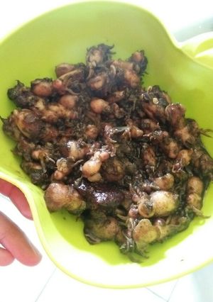 Foto resep Anak sotong pedas