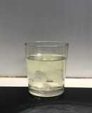 Nha đam đường phèn