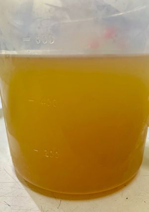 Hình của món Nước bí đao.