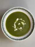 Quick Broccoli Soup