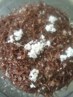 இனிப்பு தேங்காய் ராகி சேமியா (Inippu thenkaai Raagi semiya Recipe in Tamil) செய்முறை முக்கிய புகைப்படம்
