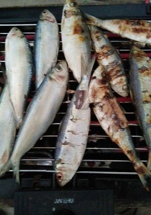Hình của món Cá trích nướng.