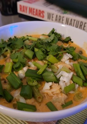 A picture of Thai Red "Dragon" chicken soup.