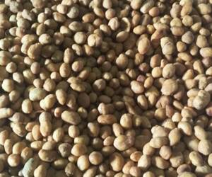 Resep Populer Kacang Telur Rumahan Yummy Mantul