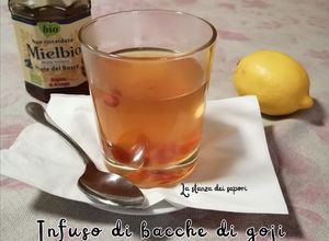Foto di #128 Infuso di bacche di goji