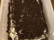 A picture of ice cream cake