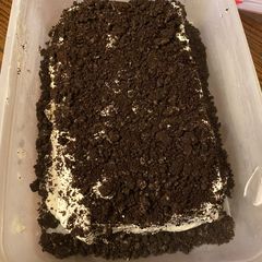 A picture of Oreo ice cream cake.