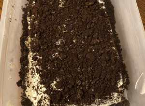 A picture of Oreo ice cream cake.
