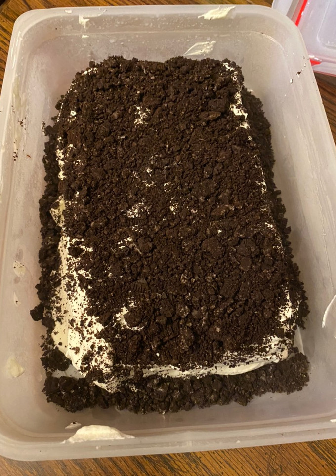A picture of Oreo ice cream cake.