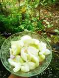 Acar Jambu Air Timun