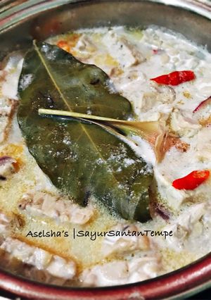 Foto resep Sayur santan tempe