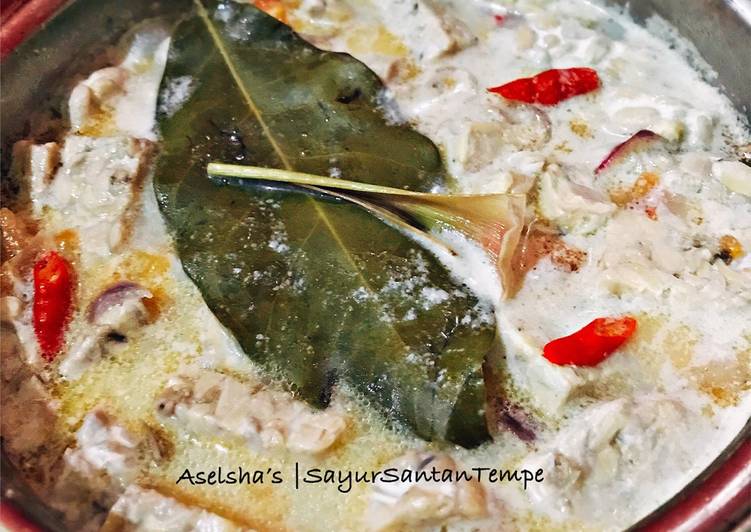 Langkah Mudah untuk Membuat Sayur santan tempe, Bikin Ngiler