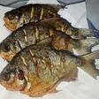 Ikan Bawal Goreng