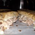 Tuna Melt (Air fryer)