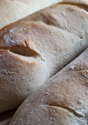 Una foto de Pan Baguette 🥖 o flauta