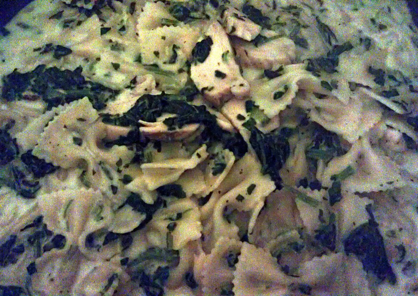 K's Bow tie & chicken pasta