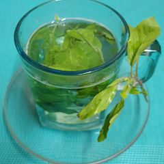 A picture of Tulsi Water (Holy Basil / Indian Basil).