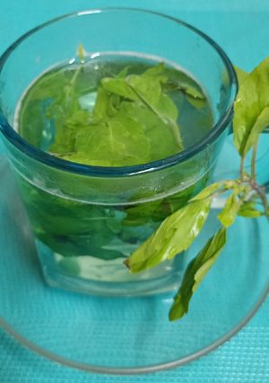 A picture of Tulsi Water (Holy Basil / Indian Basil).